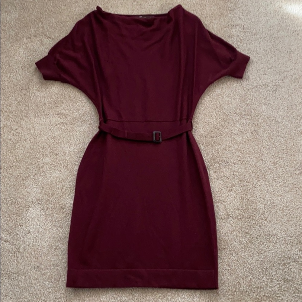 The Limited Maroon Stretchy Dress